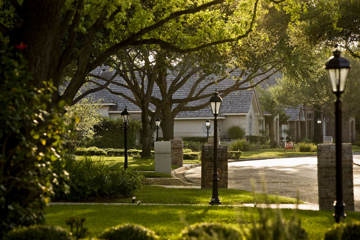 RHB Assets From IGX: A neighborhood with trees.