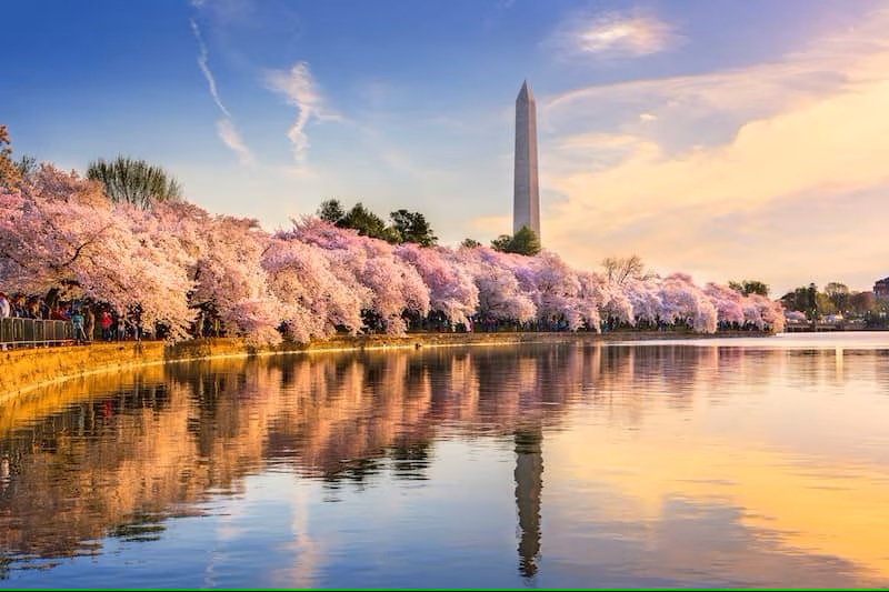 Washington DC in Spring