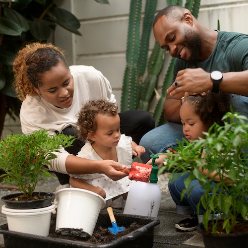 African American family gardening outside their home.