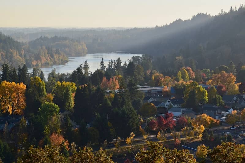 RHB Assets From IGX: A scenic view of the charming West Linn, Oregon neighborhood with lush greenery.