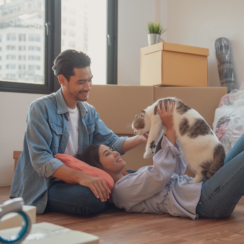 Couple moving into new home and playing with cat on the floor surrounded by moving boxes,