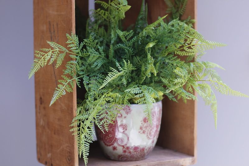 RHB Assets From IGX: Ferns of Life art installation in a public space.