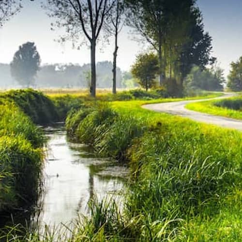 Illustration of a field side with a road beside and stream flowing.