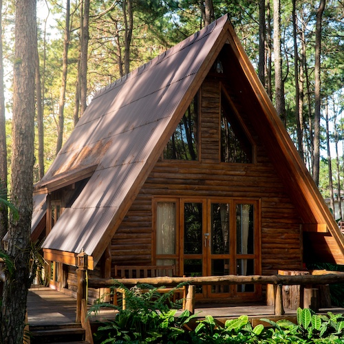 A frame summer cabin in the woods.