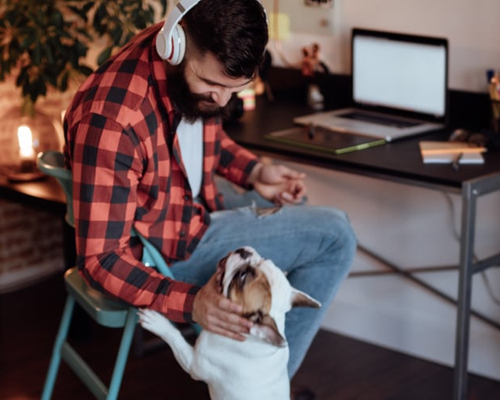 A man sitting on a chair with his dog in front of a laptop, working comfortably from home.