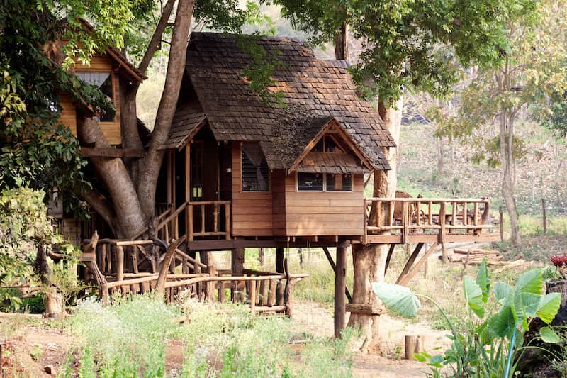 Large treehouse designed to live in.