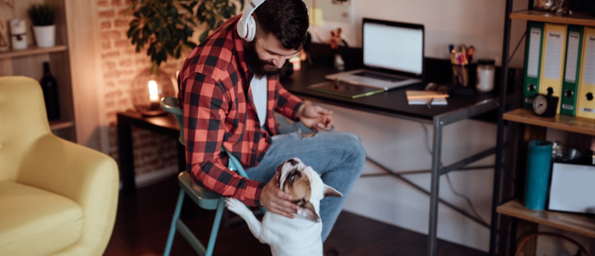 A man sitting on a chair with his dog in front of a laptop, working comfortably from home.