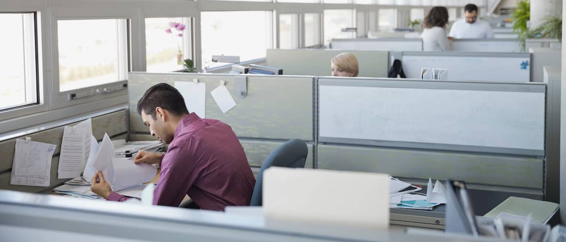 Man working in cubicle in sunny business office.