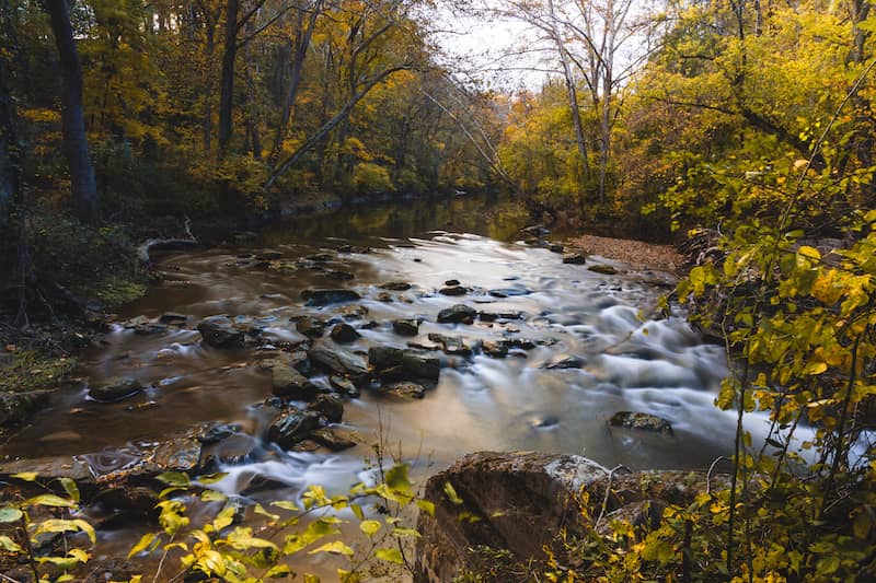 RHB Assets From IGX: White Clay Creek State Park Delaware