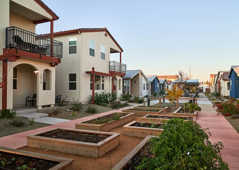 Row of homes in Chico California featuring raised bed gardens in the courtyard.