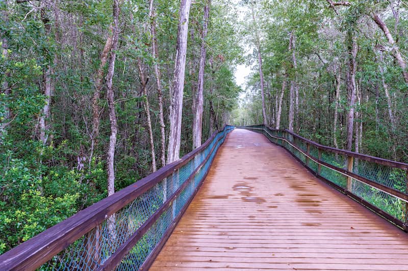 RHB Assets From IGX: A scenic walking path in Niceville, Florida.