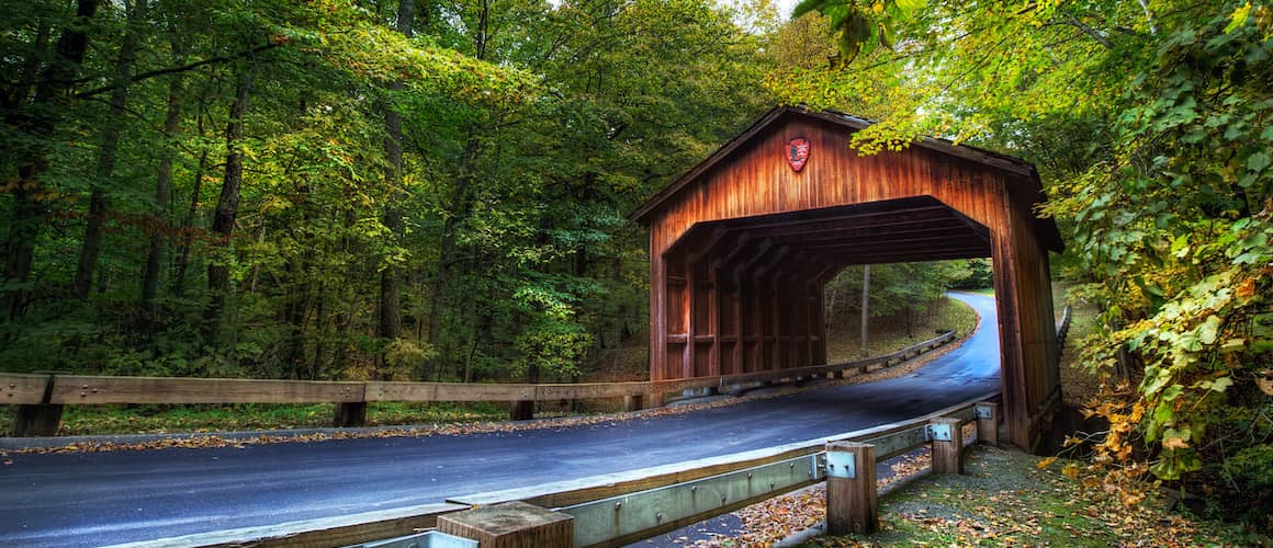 RHB Assets From IGX: Wooden bridge in a serene, wooded area.