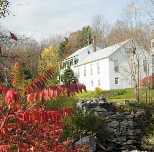 Colonial-style house in Massachusetts with a white exterior and greenery.