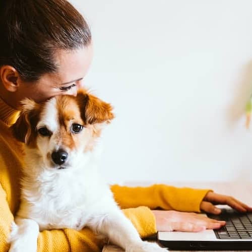 Image of a woman in a yellow sweater, with a dog in her lap, working on a laptop.