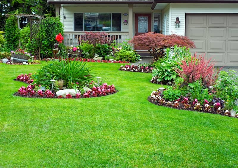 Front yard of a home with a lush green lawn and beautiful landscaping 