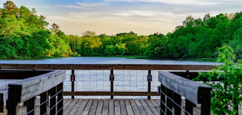 Lake Conestee Park view from boardwalk.