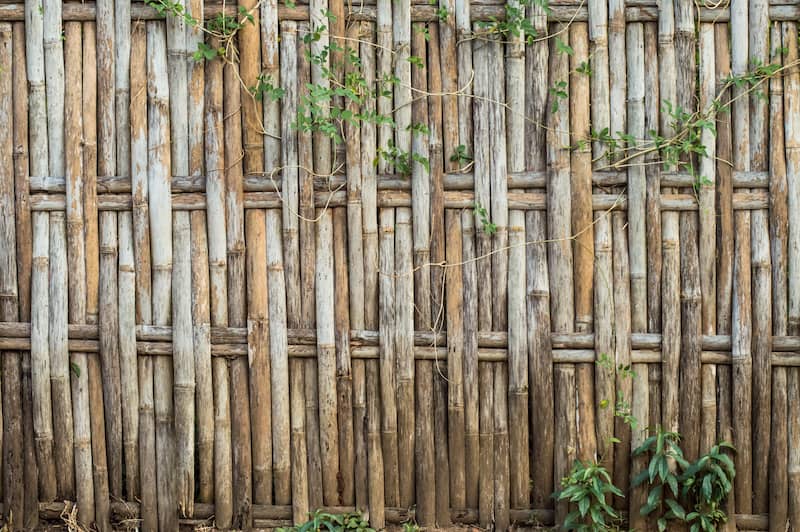 RHB Assets From IGX: Bamboo fence in a garden with tall stalks and green leaves.