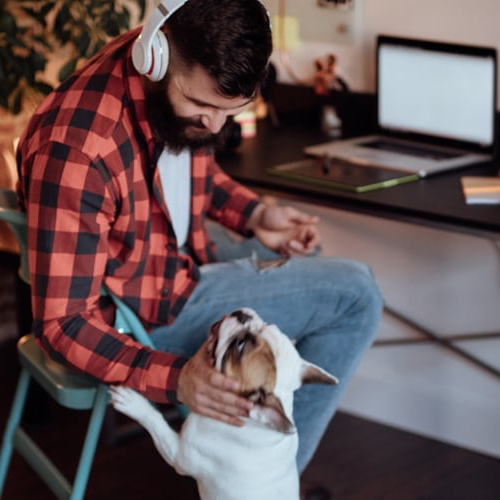 A man sitting on a chair with his dog in front of a laptop, working comfortably from home.