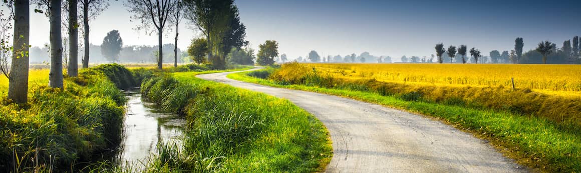 Illustration of a field side with a road beside and stream flowing.