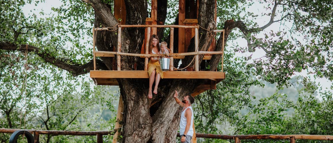 RHB Assets From IGX: Treehouse nestled among the branches of a large tree
