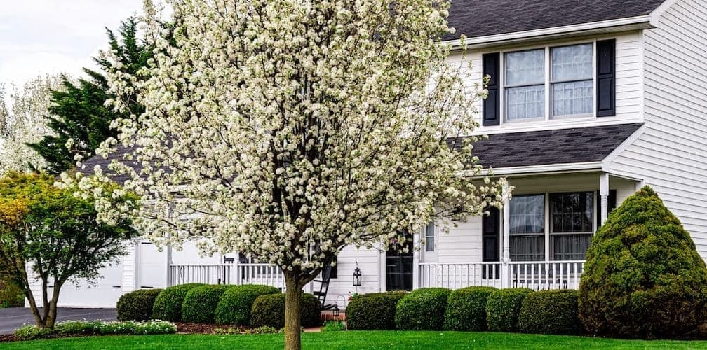 Rent Back A Way To Avoid HomeSelling Limbo Rocket Homes