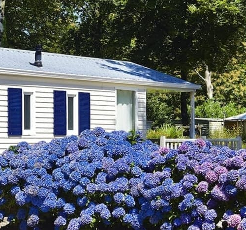 A small white and dark blue colored house with indigo colored flowers outside.