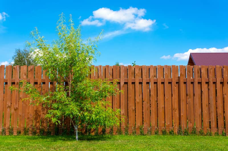 RHB Assets From IGX: Wooden privacy fence surrounding a residential property with a manicured lawn.