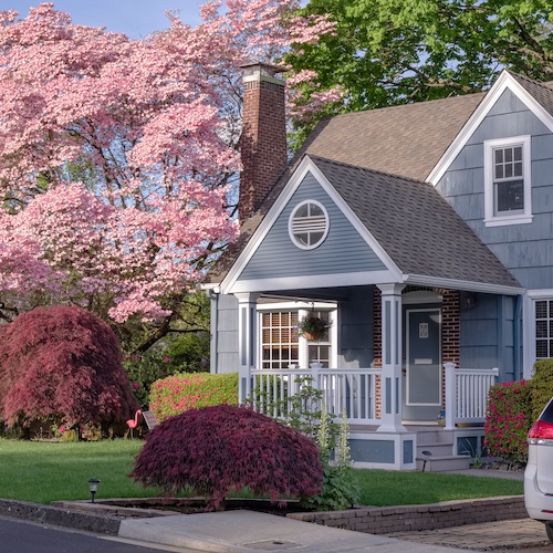 Blue house with pink cherry blossom tree in background.