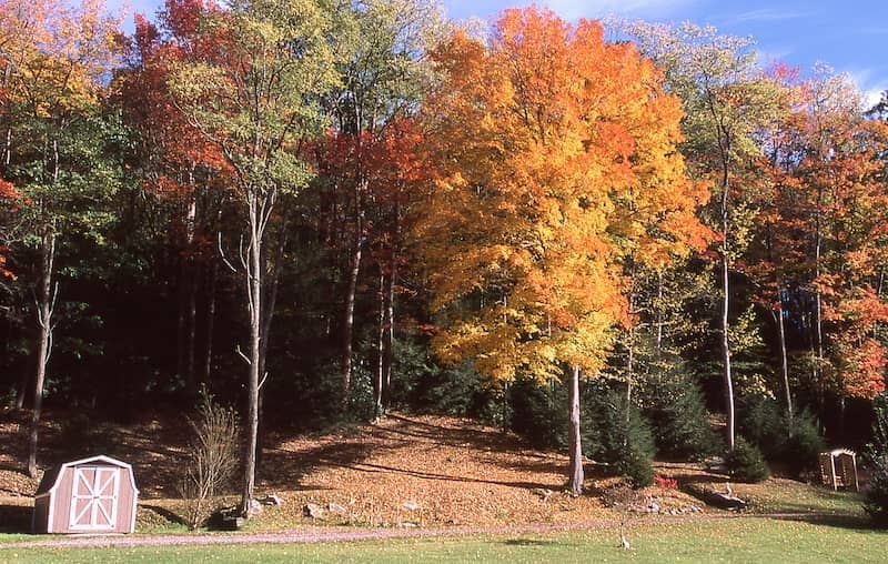 RHB Assets From IGX: A scenic view of fall foliage in the northeast.