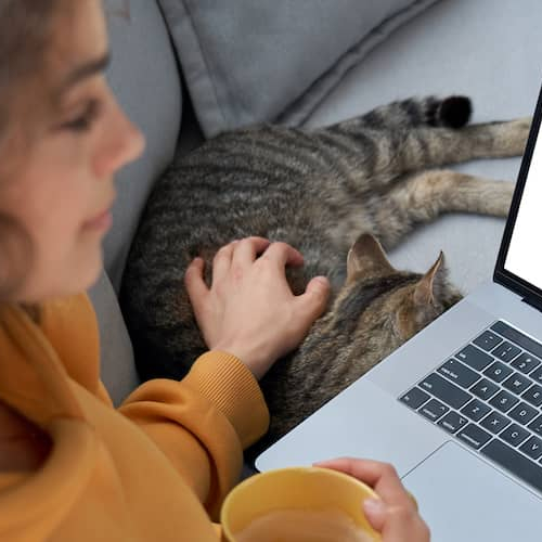 A female working at her laptop while petting a cat.