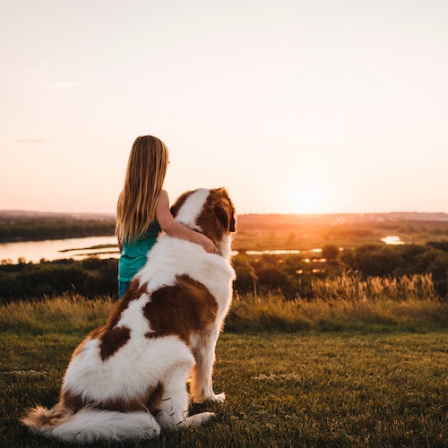 Young girl and her Saint Bernard looking at sunset over Missouri River in Bismarck North Dakota.