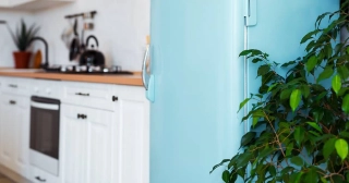 A stovetop set on a butcher block counter and oven in a white kitchen, with a robin’s egg blue refrigerator and green ficus in the foreground. 