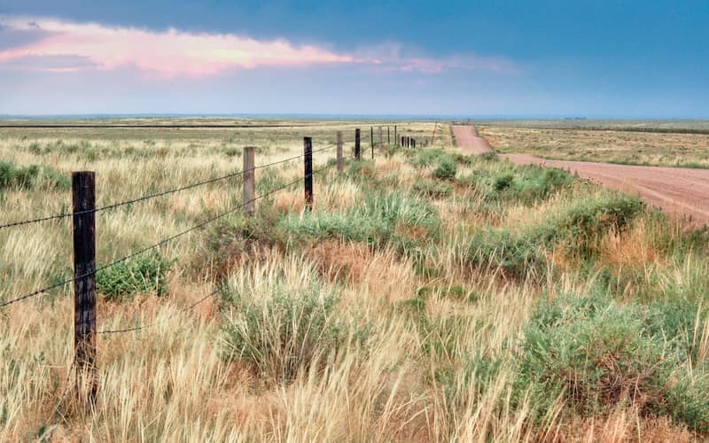 Dirt road with wire fencing to the left of it in Weld County at dusk.