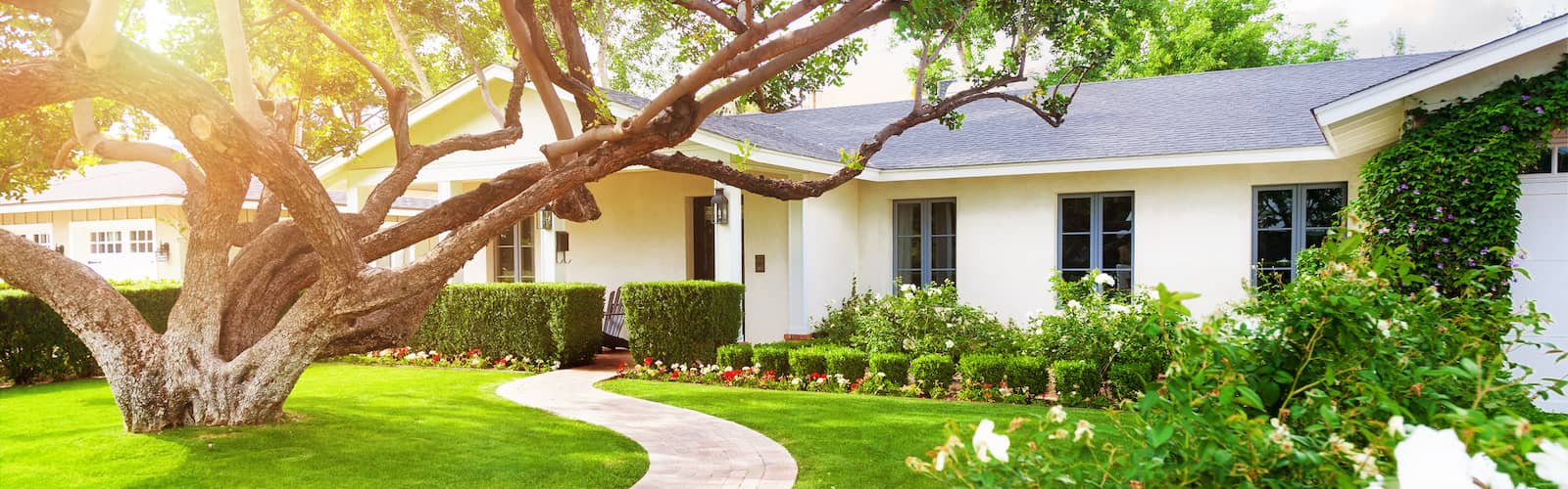 Single-story house with large tree in front yard at sunrise.