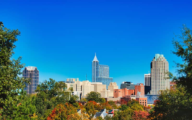 RHB Assets From IGX: Raleigh North Carolina city skyline