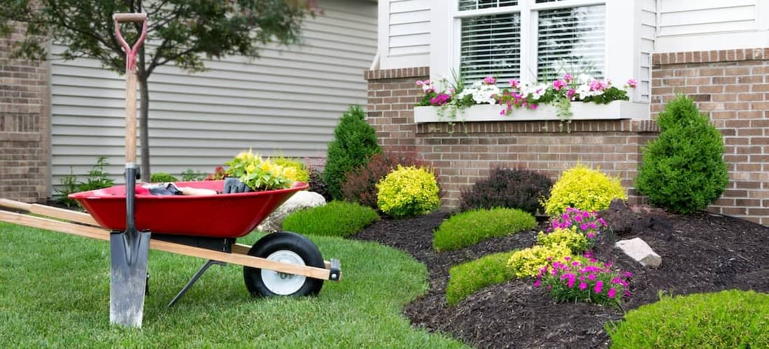 RHB Assets From IGX: Landscaping ideas for a garden.