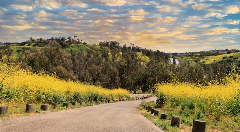 Sunset over Aliso Viejo wilderness park trail