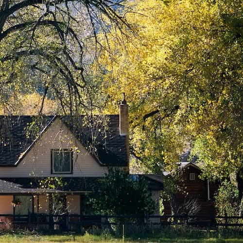 House under sunlit cottonwood trees in Wheatland, Wyoming.