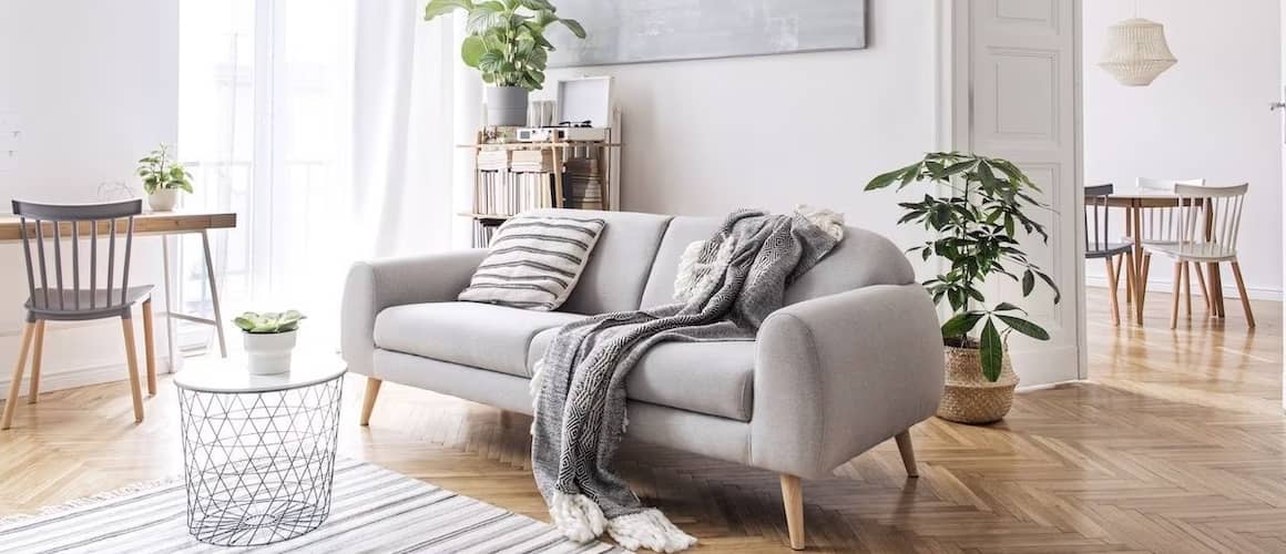 Modern grey monochromatic living room with houseplants throughout.