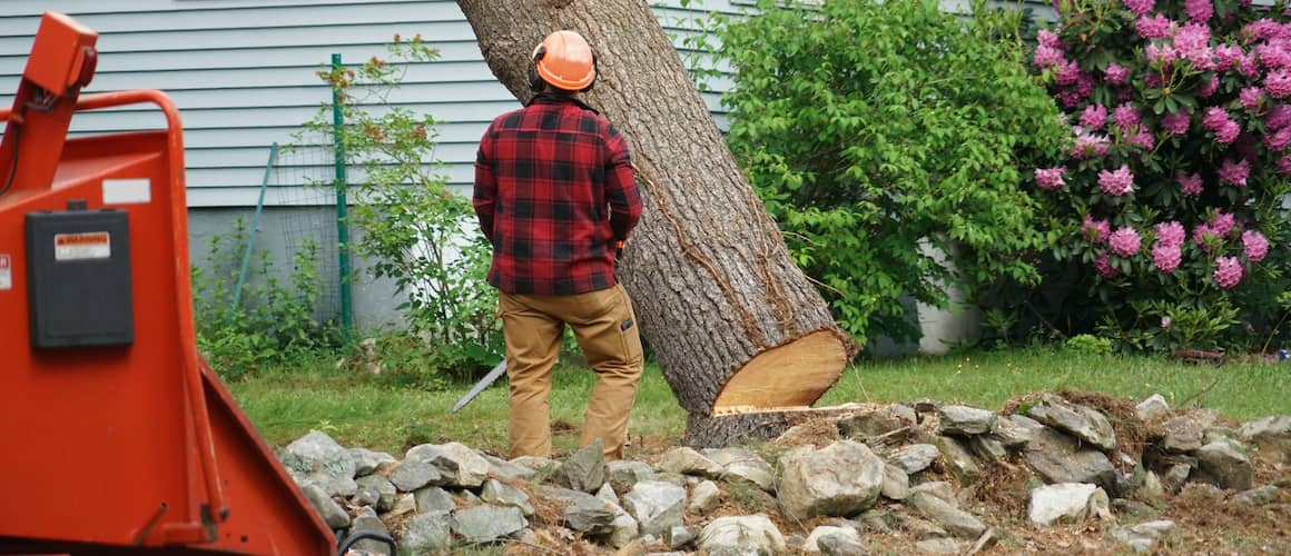 RHB Assets From IGX: A worker removing a tree in a residential area.