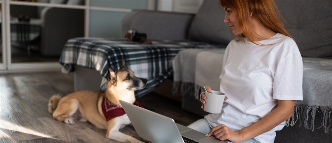 Image of girl on computer viewing loan options next to dog.