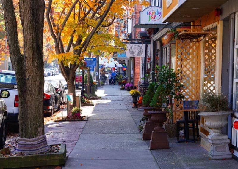 View of row of shops and restaurants on a tree lined street. 