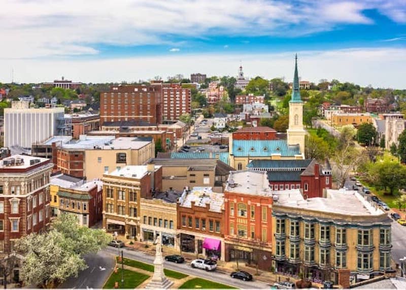 RHB Assets From IGX: Cherry blossom trees in Macon Georgia