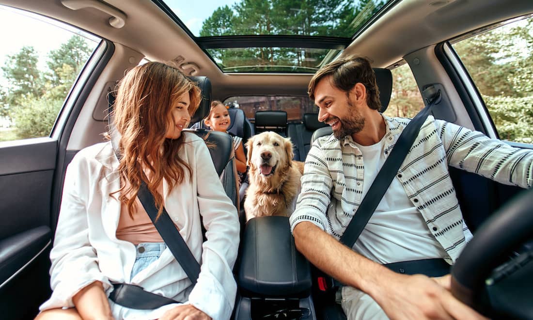 Family is driving for the weekend. Mom and Dad with their daughter and a Labrador dog are sitting in the car. Leisure, travel, tourism.