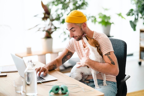 Man with small dog on lap giving him kisses while he searches on laptop at desk in bright room surrounded by houseplants.