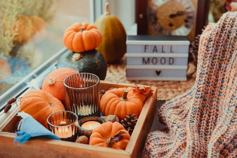 RHB Assets From IGX: A collection of pumpkins and gourds, perfect for fall decor ideas.