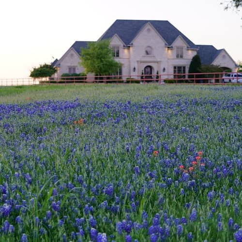 Large multistory home in an expansive field of blue bonnets.