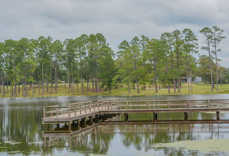 A small wooden pier over a lake with many trees along the bank.