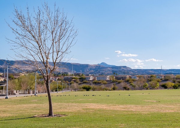 Beautiful sunny landscape around Cornerstone Park.