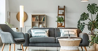 A living room with white walls, a gray couch and chair, a bookshelf and various plants.